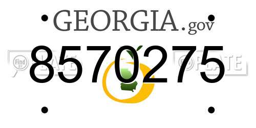 8570275 Georgia License Plate