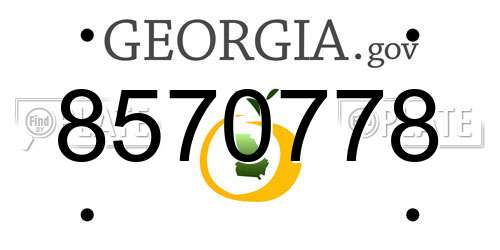 8570778 Georgia License Plate