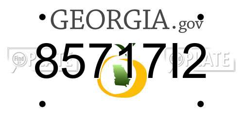 85717I2 Georgia License Plate