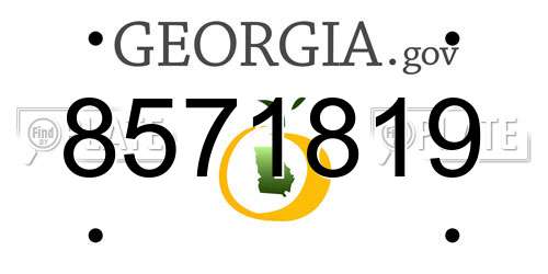 8571819 Georgia License Plate
