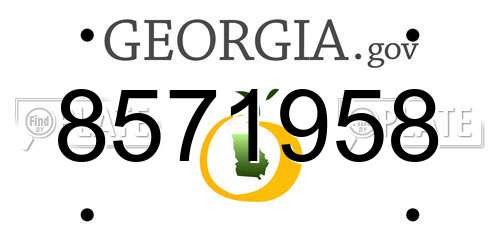 8571958 Georgia License Plate