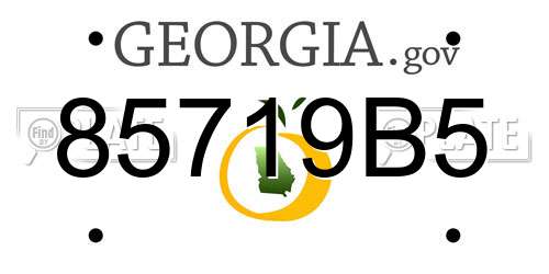 85719B5 Georgia License Plate
