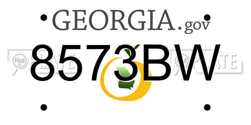 8573BW Georgia License Plate