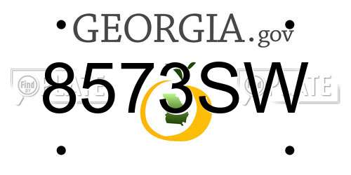 8573SW Georgia License Plate