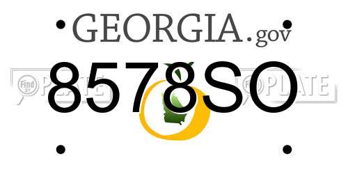8578SO Georgia License Plate