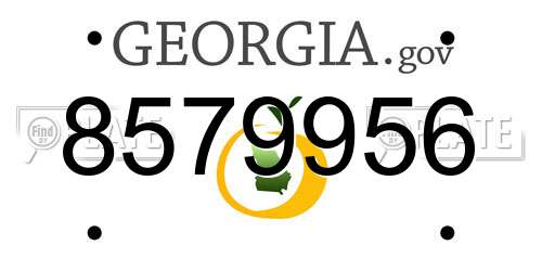 8579956 Georgia License Plate