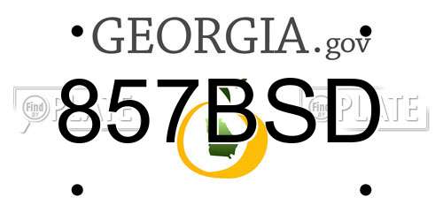 857BSD Georgia License Plate