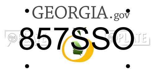 857SSO Georgia License Plate