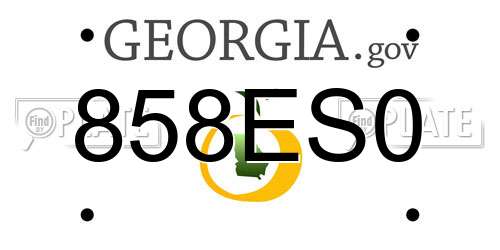 858ES0 Georgia License Plate