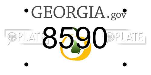 8590 Georgia License Plate