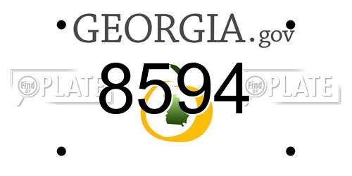 8594 Georgia License Plate