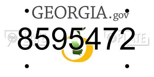 8595472 Georgia License Plate