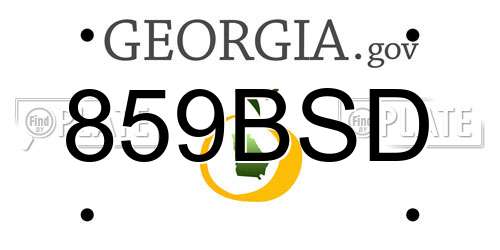 859BSD Georgia License Plate