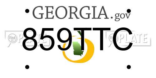 859TTC Georgia License Plate