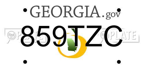 859TZC Georgia License Plate