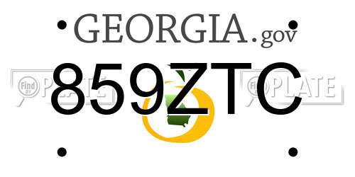 859ZTC Georgia License Plate