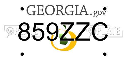 859ZZC Georgia License Plate