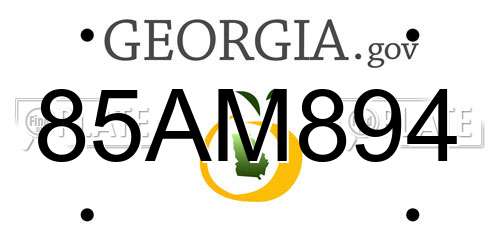 85AM894 Georgia License Plate