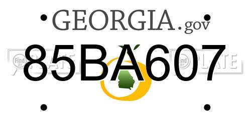 85BA607 Georgia License Plate