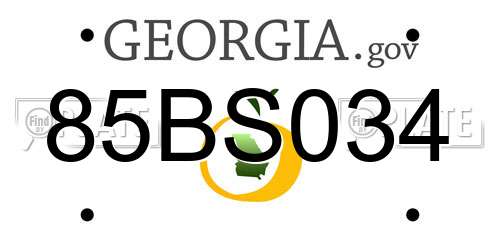 85BS034 Georgia License Plate
