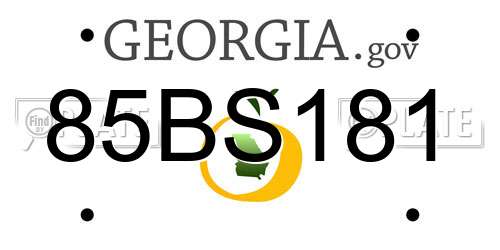 85BS181 Georgia License Plate