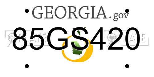 85GS420 Georgia License Plate