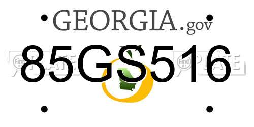 85GS516 Georgia License Plate