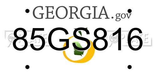 85GS816 Georgia License Plate