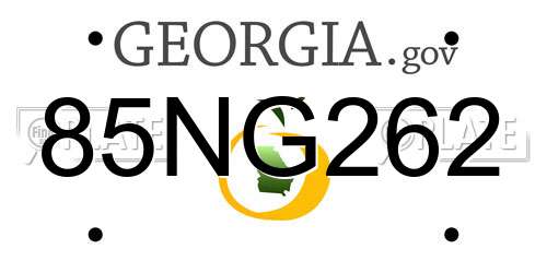 85NG262 Georgia License Plate