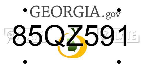 85QZ591 Georgia License Plate