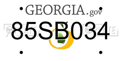 85SB034 Georgia License Plate