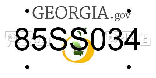 85SS034 Georgia License Plate