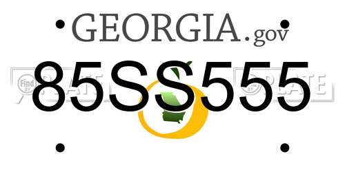 85SS555 Georgia License Plate