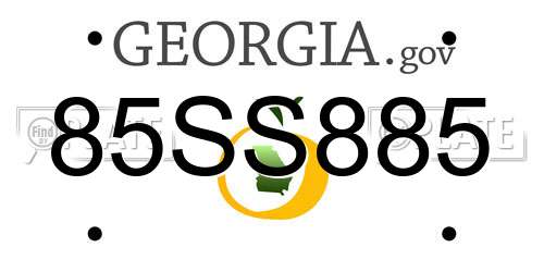 85SS885 Georgia License Plate