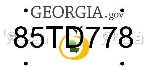 85TD778 Georgia License Plate