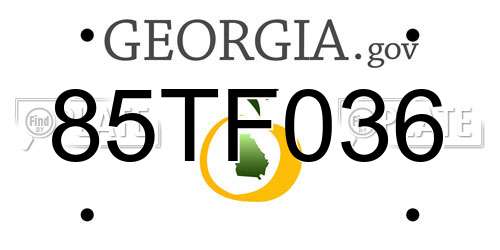 85TF036 Georgia License Plate