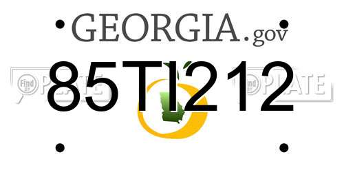 85TI212 Georgia License Plate