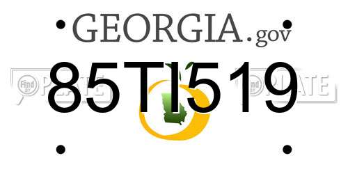85TI519 Georgia License Plate