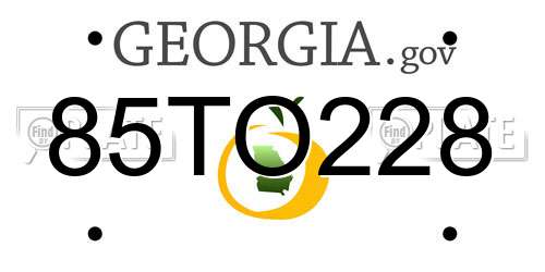 85TO228 Georgia License Plate