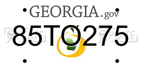 85TO275 Georgia License Plate
