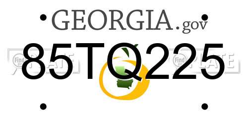85TQ225 Georgia License Plate