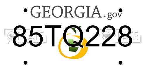 85TQ228 Georgia License Plate