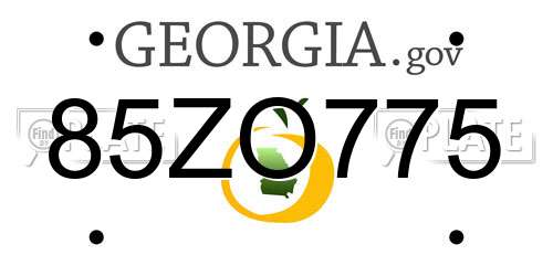 85ZO775 Georgia License Plate