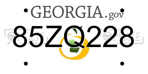85ZQ228 Georgia License Plate