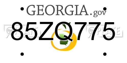 85ZQ775 Georgia License Plate