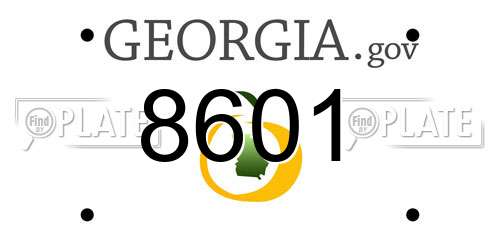 8601 Georgia License Plate
