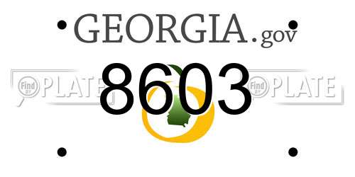 8603 Georgia License Plate