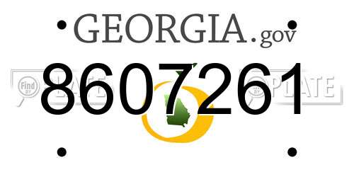 8607261 Georgia License Plate