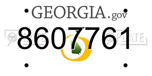 8607761 Georgia License Plate