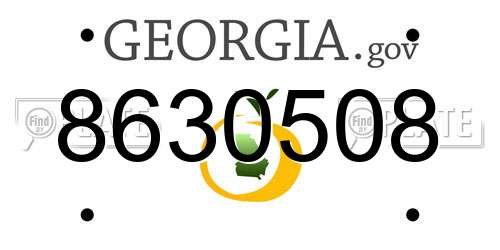 8630508 Georgia License Plate